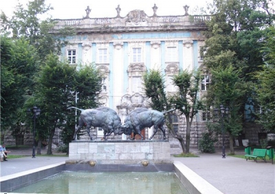 zubr